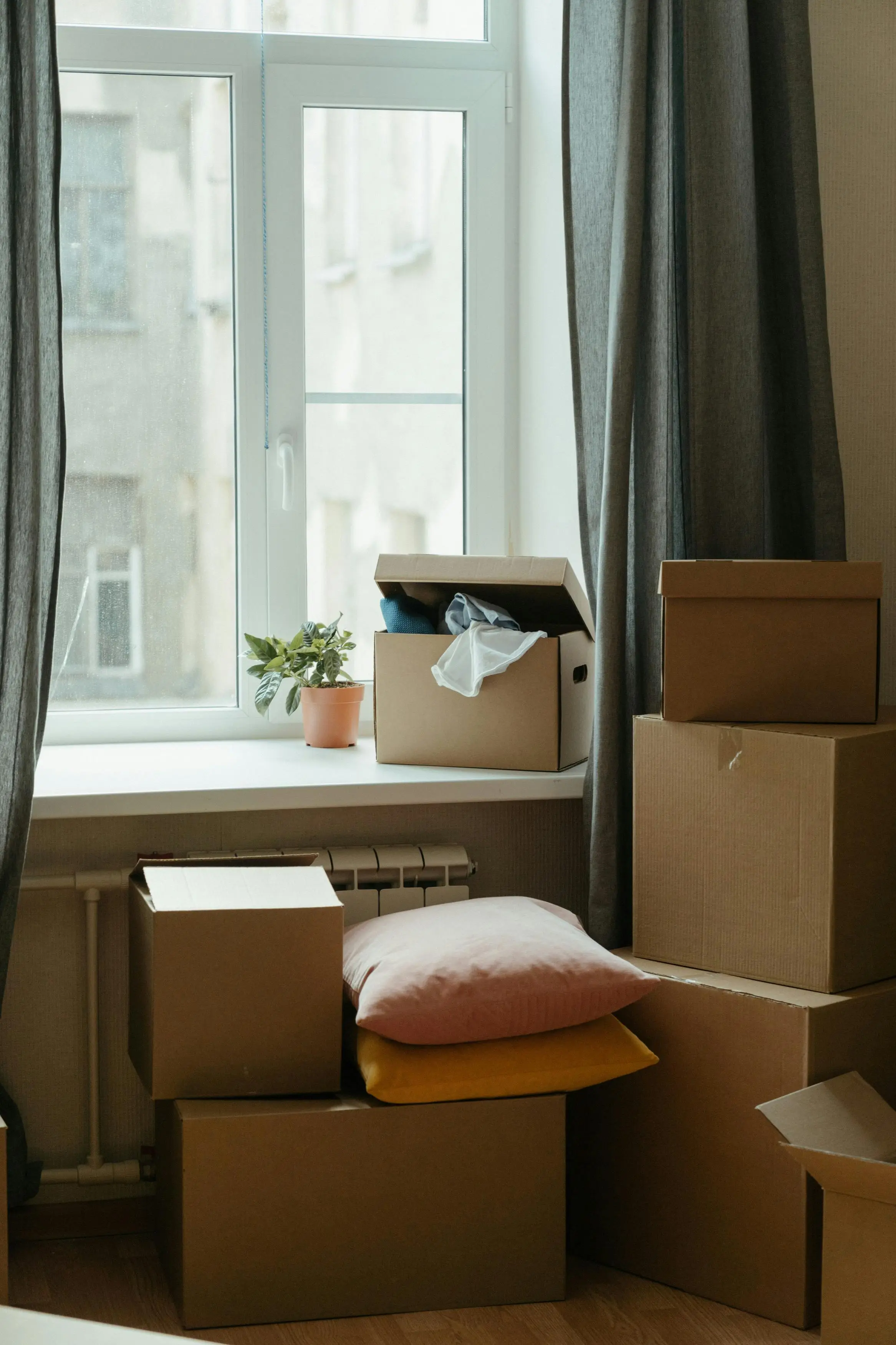 Move In / Move Out